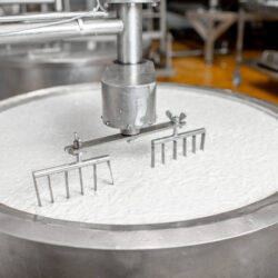 vat of cheese being made