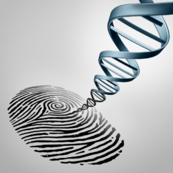 fingerprint with DNA strand