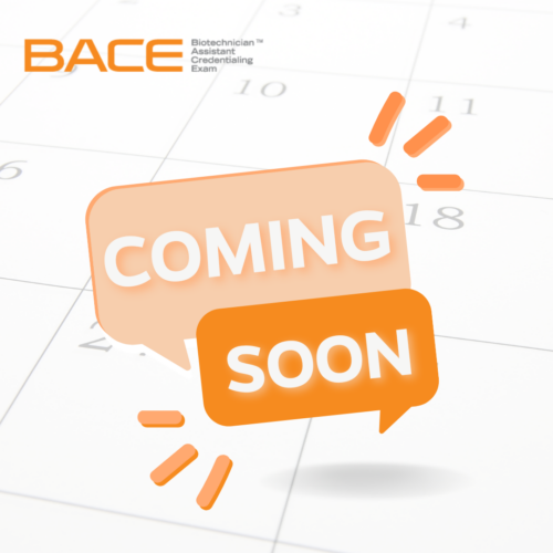 BACE 2023-2024 - Coming Soon!